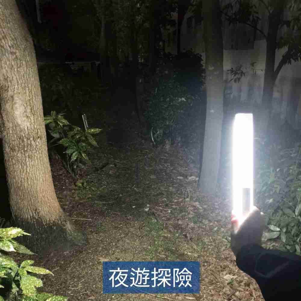 NLB-夜遊