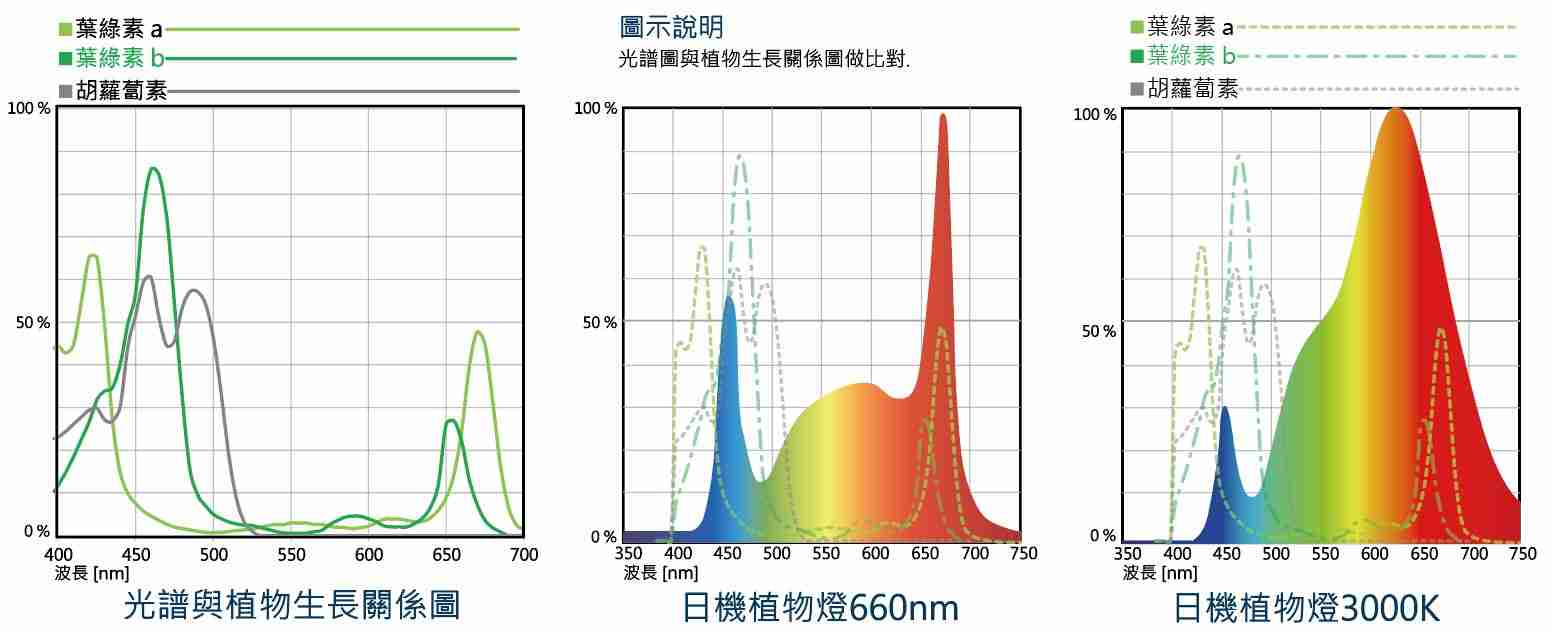 植物燈-PPFD數值介紹